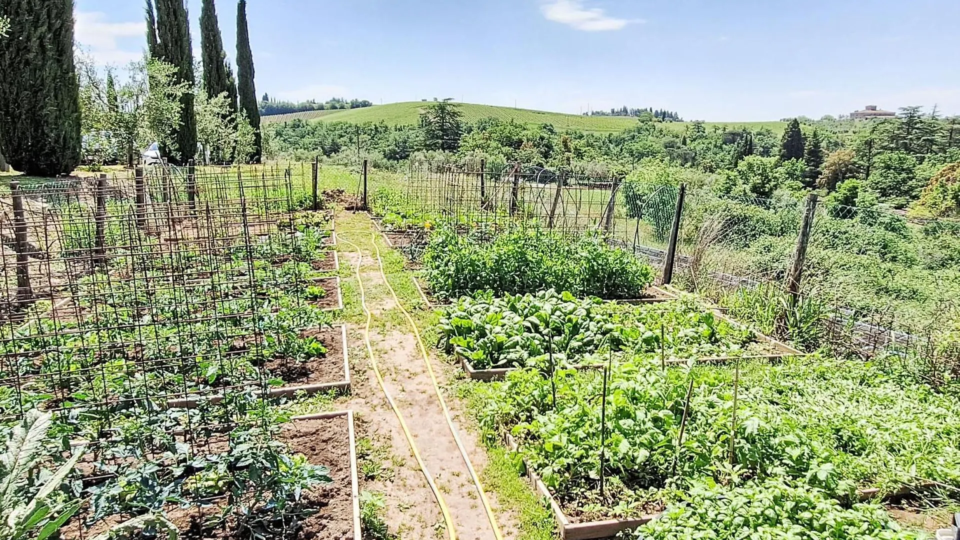 Holiday Home San Regolo-2 By Interhome Gaiole in Chianti Italy